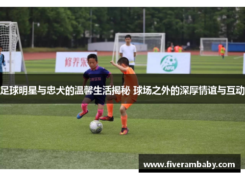 足球明星与忠犬的温馨生活揭秘 球场之外的深厚情谊与互动