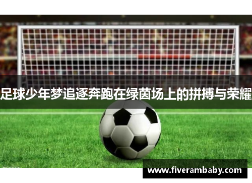 足球少年梦追逐奔跑在绿茵场上的拼搏与荣耀