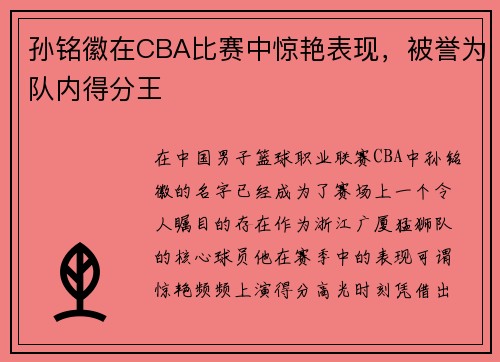 孙铭徽在CBA比赛中惊艳表现，被誉为队内得分王